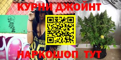 спайс Коммунар